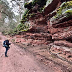 24-03-01 13-06-58 8871